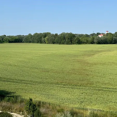 公寓 Modern Beautiful Close To The Center 布拉迪斯拉发